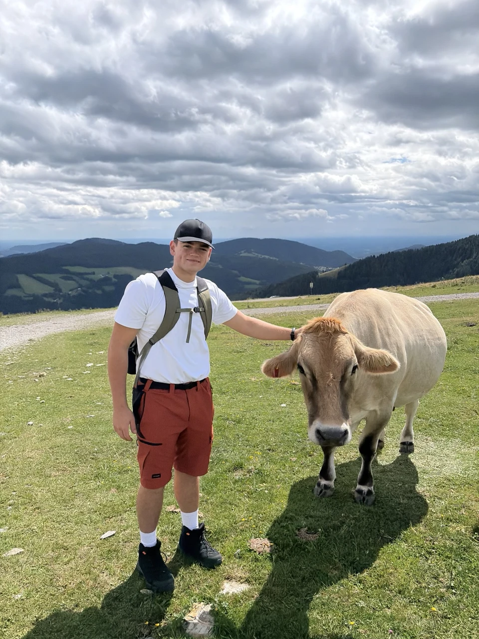 Persönliche Wanderaufnahme: einer der Gründer neben einer Kuh auf einer Alm vor einer Berglandschaft